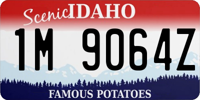 ID license plate 1M9064Z