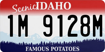 ID license plate 1M9128M