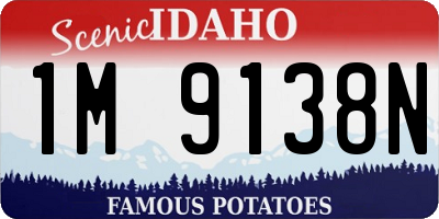 ID license plate 1M9138N
