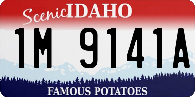 ID license plate 1M9141A