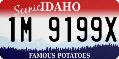 ID license plate 1M9199X