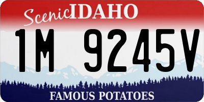 ID license plate 1M9245V