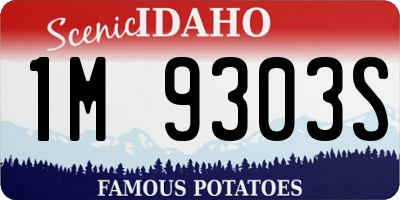 ID license plate 1M9303S