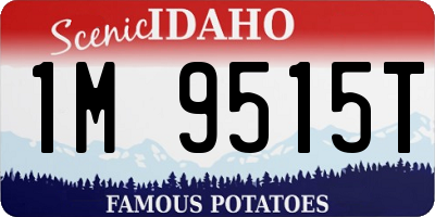ID license plate 1M9515T