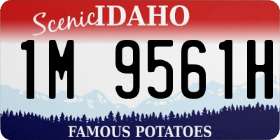 ID license plate 1M9561H