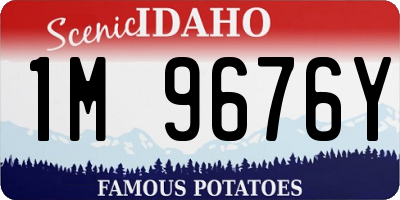 ID license plate 1M9676Y
