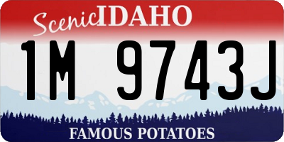 ID license plate 1M9743J