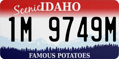 ID license plate 1M9749M