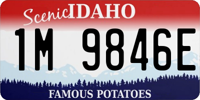 ID license plate 1M9846E