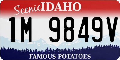 ID license plate 1M9849V