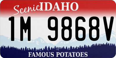 ID license plate 1M9868V
