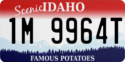 ID license plate 1M9964T