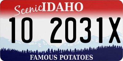ID license plate 1O2031X
