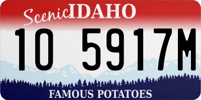 ID license plate 1O5917M