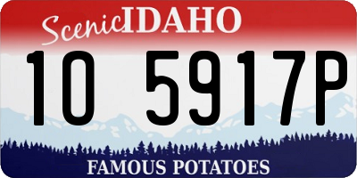 ID license plate 1O5917P