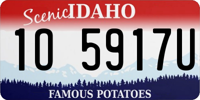 ID license plate 1O5917U