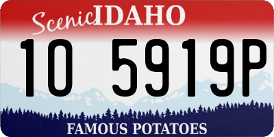 ID license plate 1O5919P