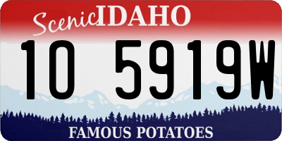 ID license plate 1O5919W