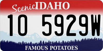 ID license plate 1O5929W