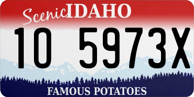 ID license plate 1O5973X