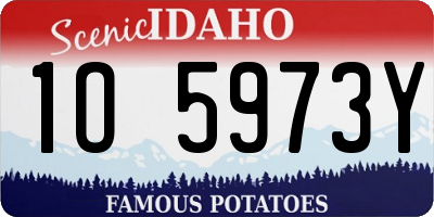 ID license plate 1O5973Y