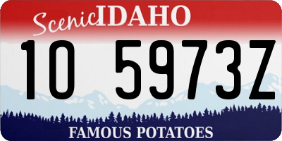 ID license plate 1O5973Z