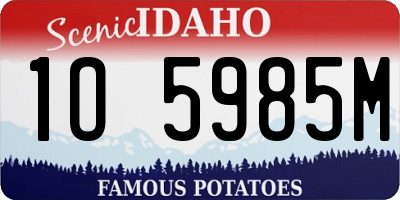 ID license plate 1O5985M