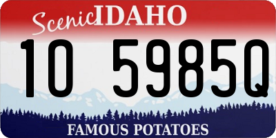 ID license plate 1O5985Q