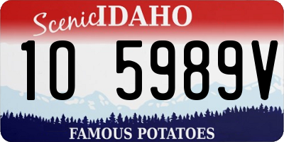 ID license plate 1O5989V