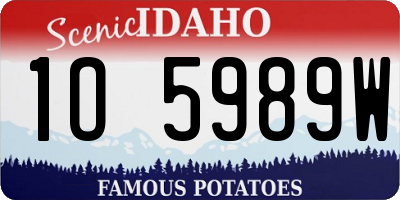 ID license plate 1O5989W