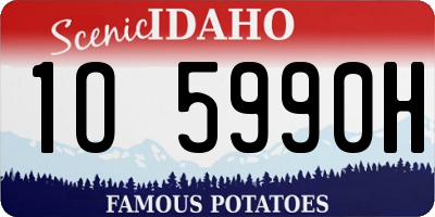 ID license plate 1O5990H