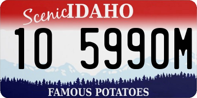 ID license plate 1O5990M