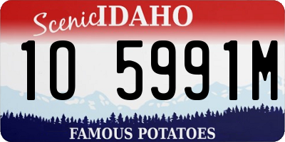 ID license plate 1O5991M