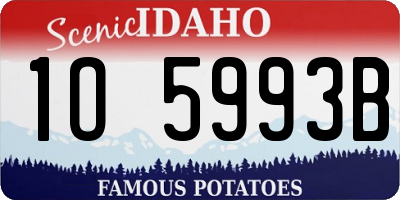 ID license plate 1O5993B