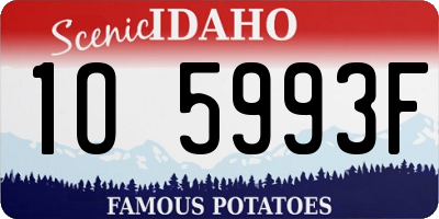 ID license plate 1O5993F