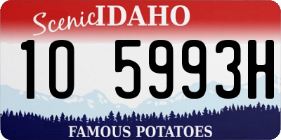 ID license plate 1O5993H