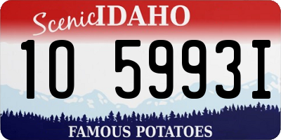 ID license plate 1O5993I