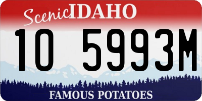 ID license plate 1O5993M