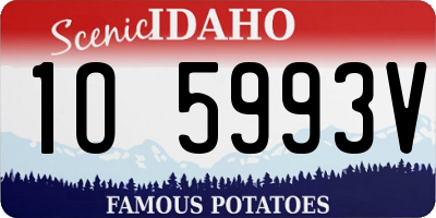 ID license plate 1O5993V