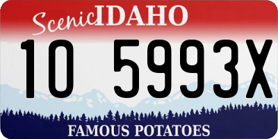 ID license plate 1O5993X