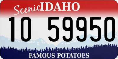 ID license plate 1O5995O