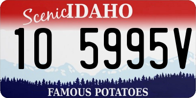 ID license plate 1O5995V