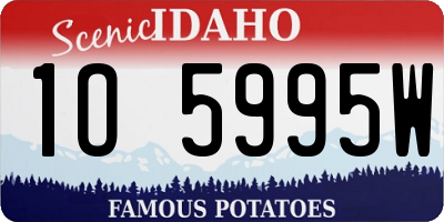 ID license plate 1O5995W