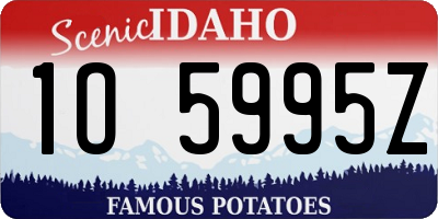ID license plate 1O5995Z