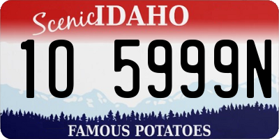 ID license plate 1O5999N