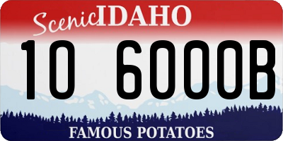 ID license plate 1O6000B