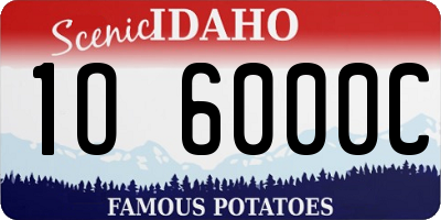 ID license plate 1O6000C
