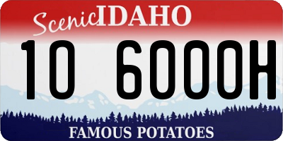 ID license plate 1O6000H
