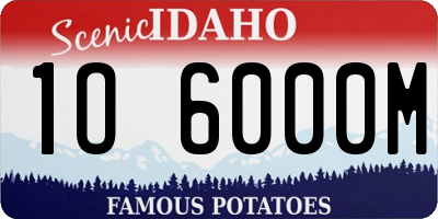 ID license plate 1O6000M