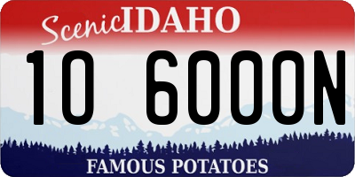 ID license plate 1O6000N